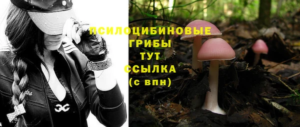 COCAINE Верея