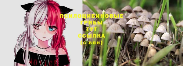 COCAINE Верея