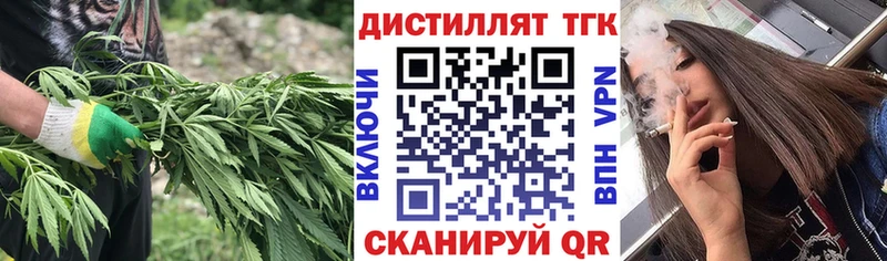 ТГК Wax  цена   Динская 
