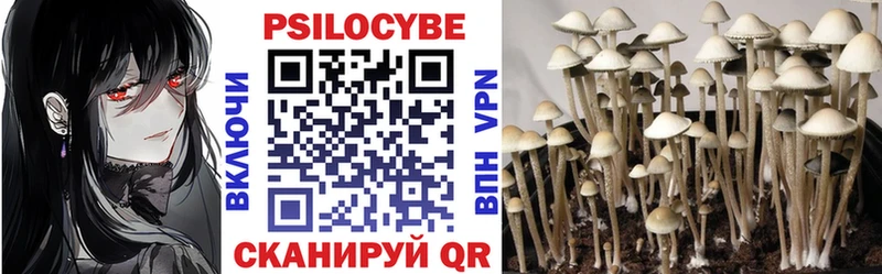 где продают наркотики  Динская  Галлюциногенные грибы Psilocybine cubensis 